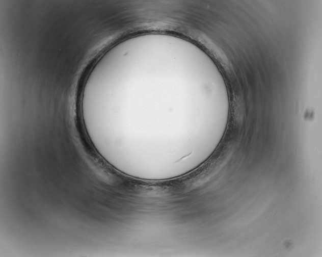 X0000103300486200809191858