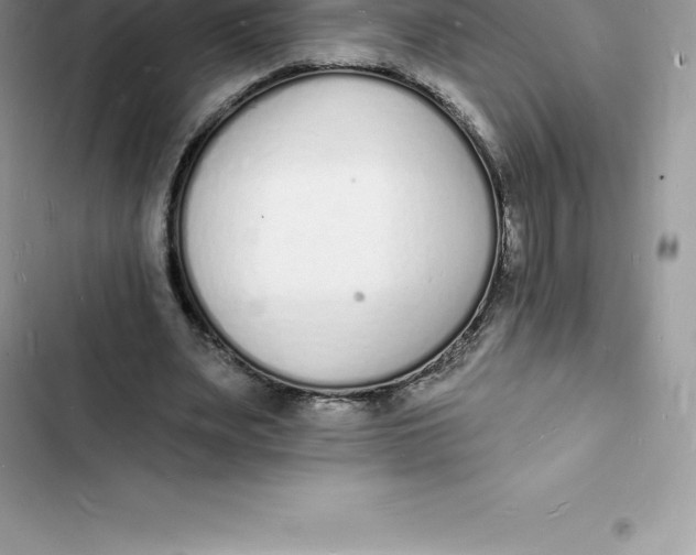 X0000103300487200809191858