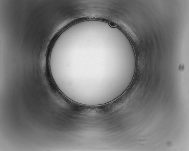 X0000103300488200809191858