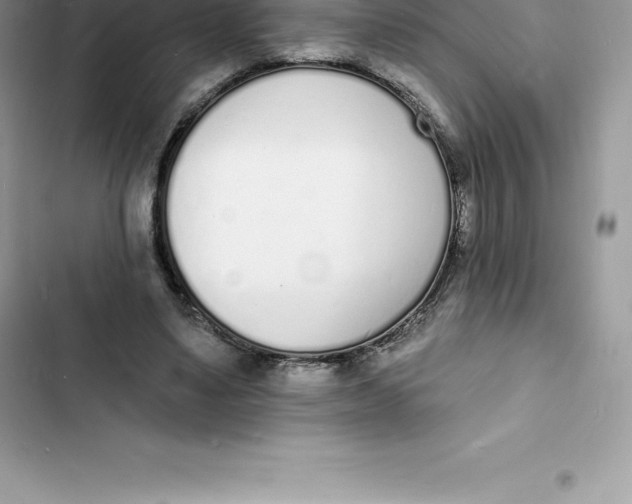 X0000103300491200809191858