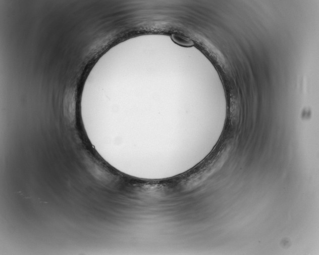 X0000103300493200809191858