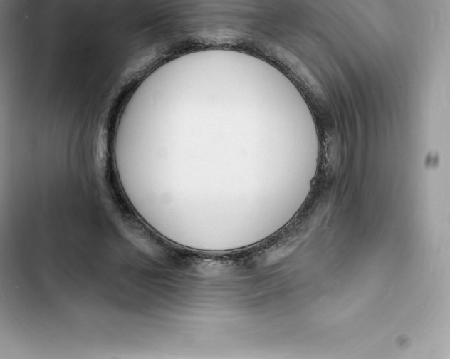 X0000103300494200809191858