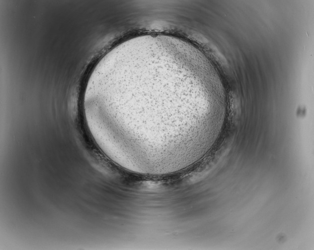 X0000103300496200809191857