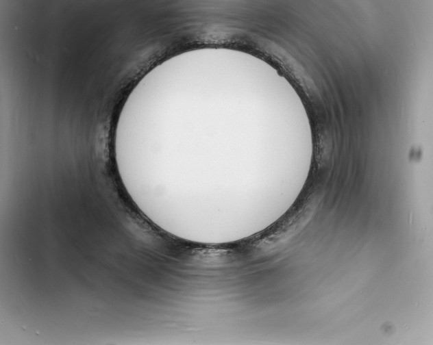 X0000103300497200809191857