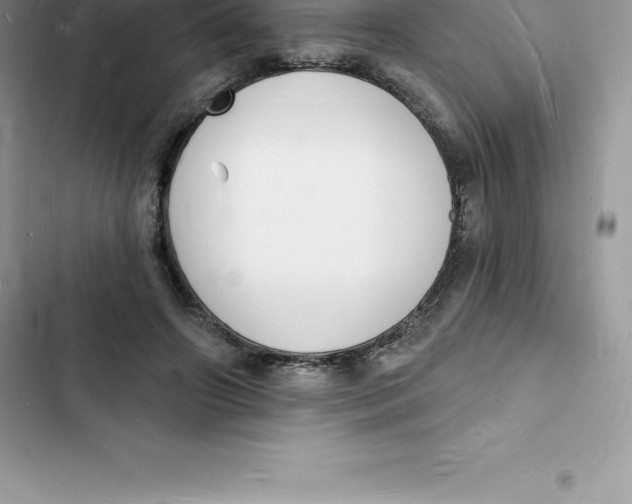 X0000103300498200809191857