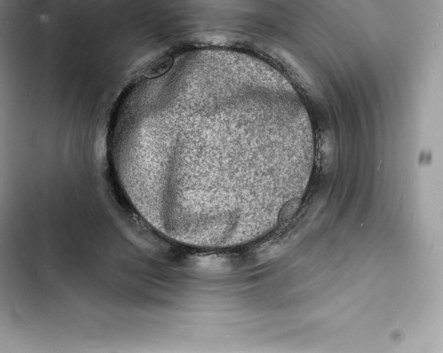 X0000103300500200809191857