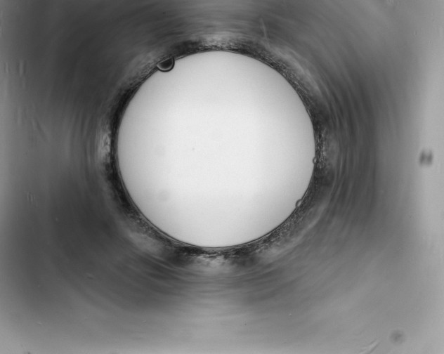 X0000103300502200809191857