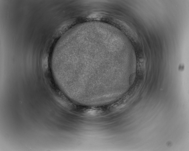 X0000103300504200809191857