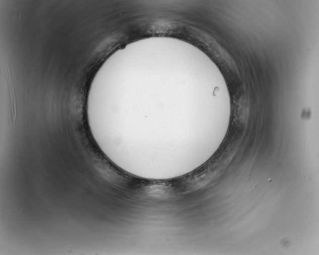 X0000103300505200809191857