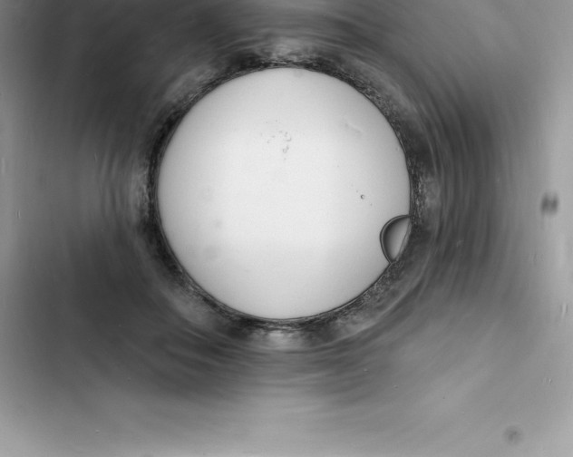 X0000103300506200809191857