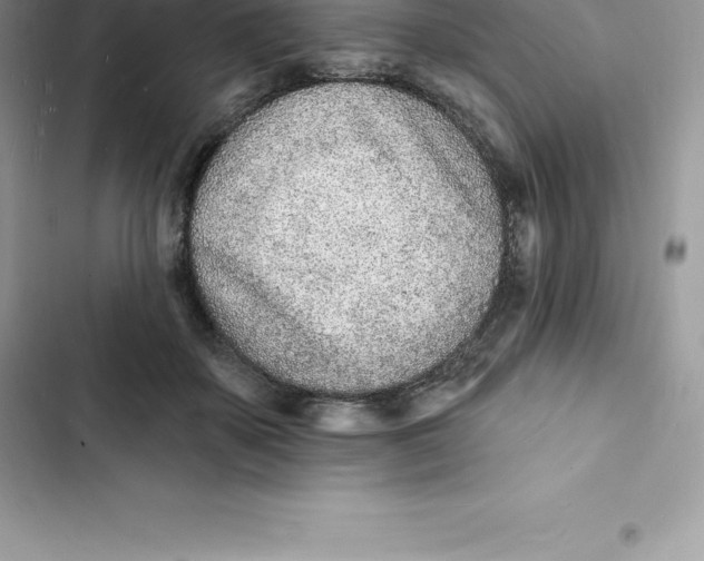 X0000103300507200809191857