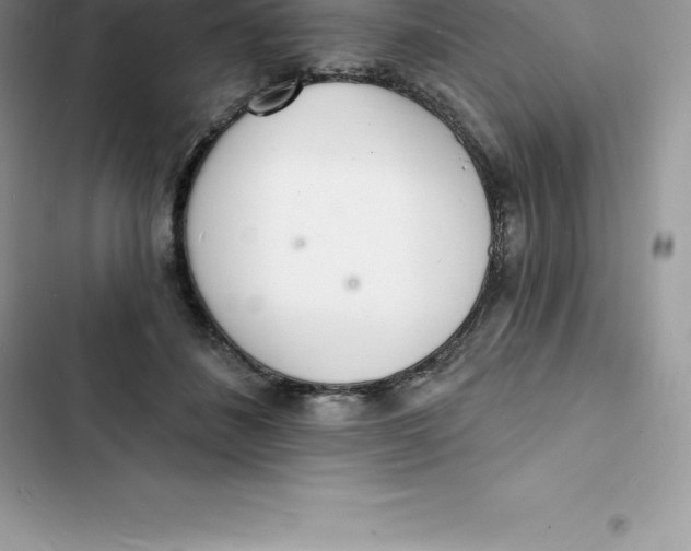 X0000103300508200809191857