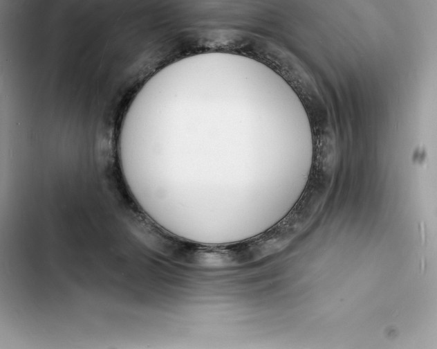 X0000103300510200809191857