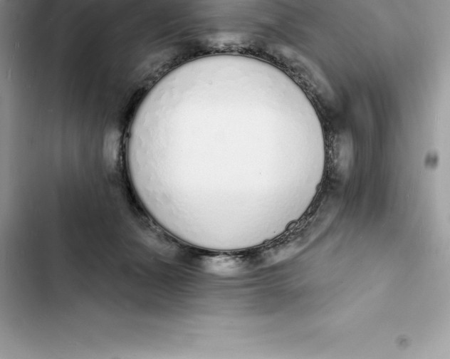 X0000103300511200809191857