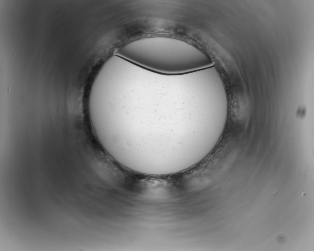 X0000103300512200809191857