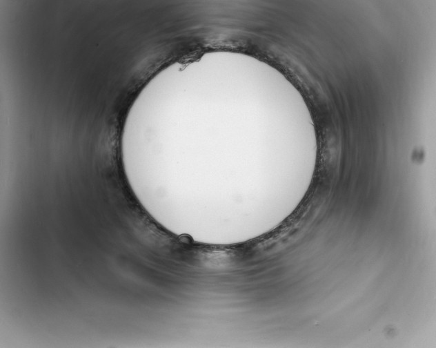 X0000103300513200809191857