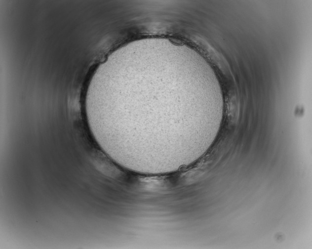 X0000103300516200809191857