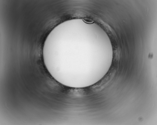 X0000103300517200809191857