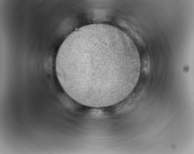 X0000103300519200809191857