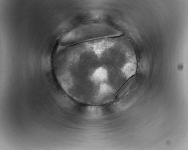 X0000103300520200809191857