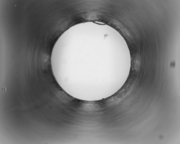 X0000103300521200809191857