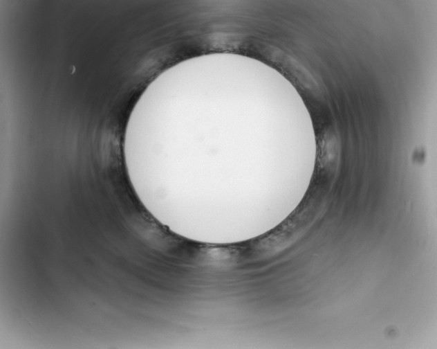 X0000103300522200809191857