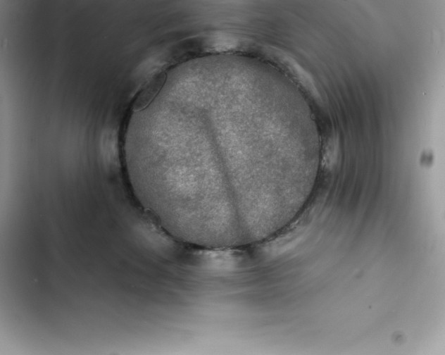 X0000103300524200809191857