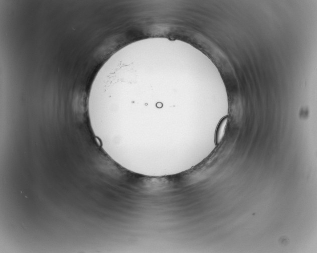 X0000103300525200809191857