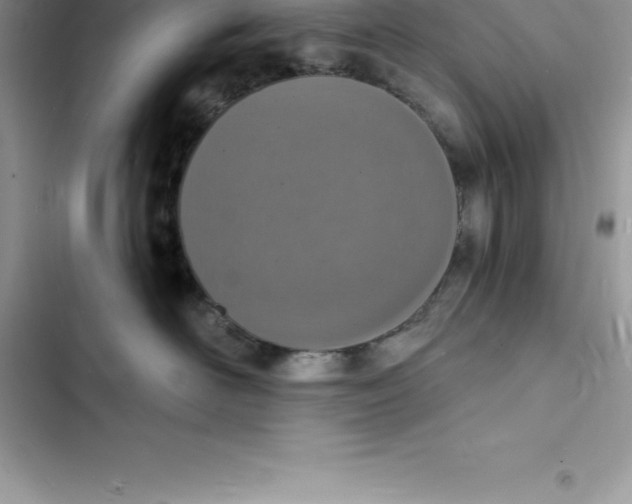 X0000103300526200809191857