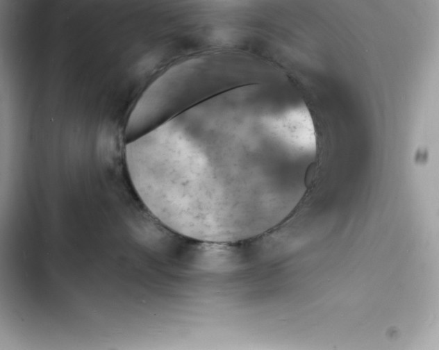 X0000103300528200809191857