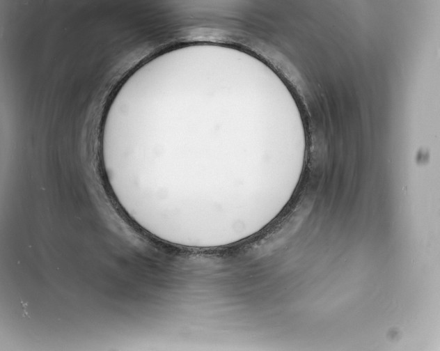 X0000103300529200809191856