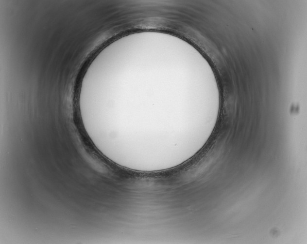 X0000103300530200809191856