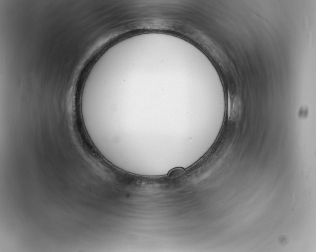 X0000103300531200809191856