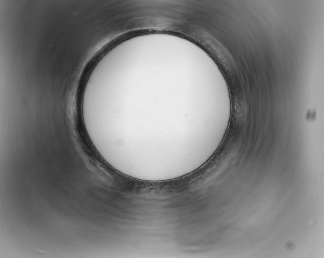 X0000103300532200809191856