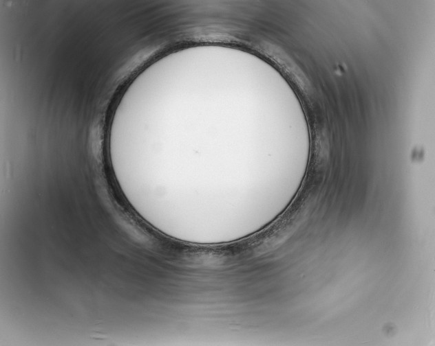 X0000103300533200809191856