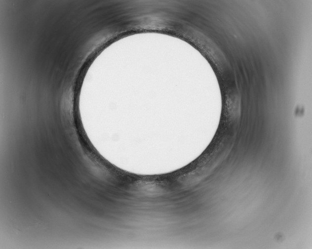 X0000103300534200809191856