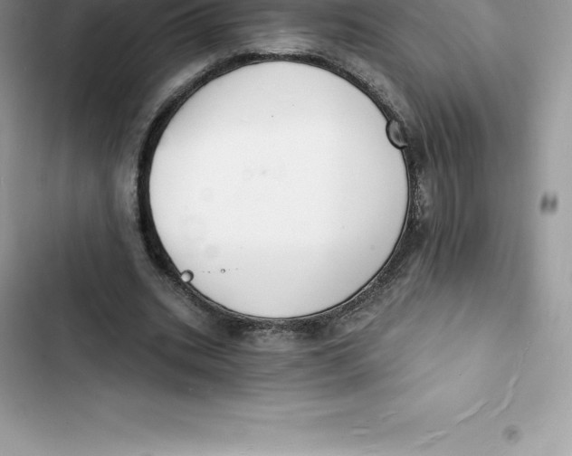 X0000103300535200809191856