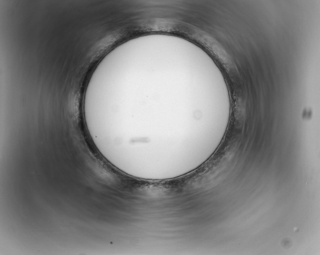 X0000103300537200809191856