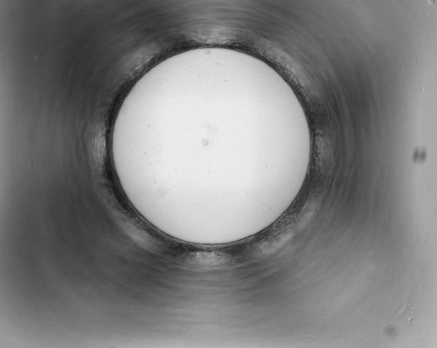 X0000103300541200809191856