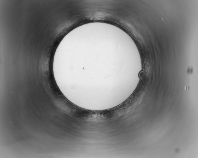 X0000103300543200809191856