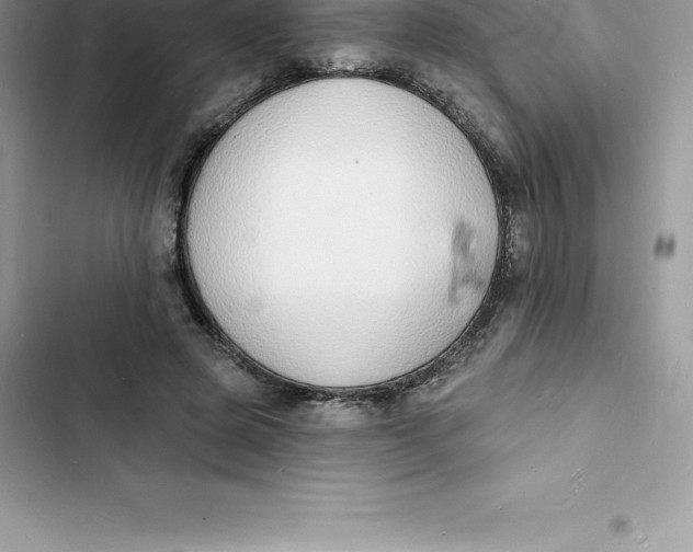 X0000103300545200809191856