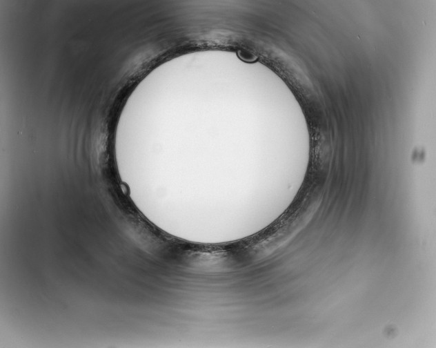 X0000103300548200809191856