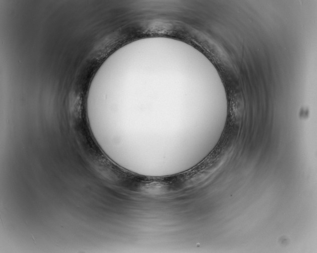 X0000103300551200809191856