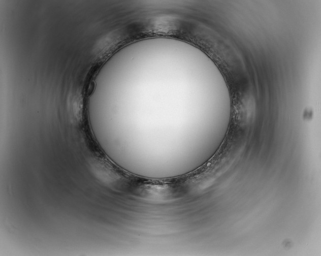 X0000103300552200809191857