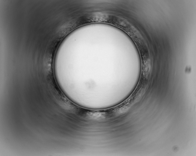 X0000103300553200809191857