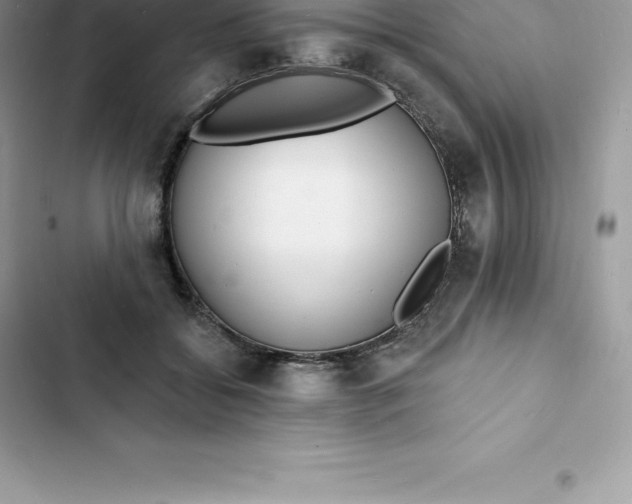 X0000103300556200809191857