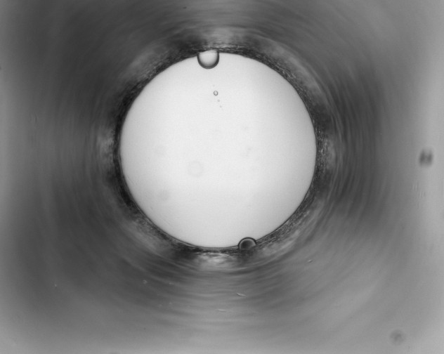 X0000103300557200809191857