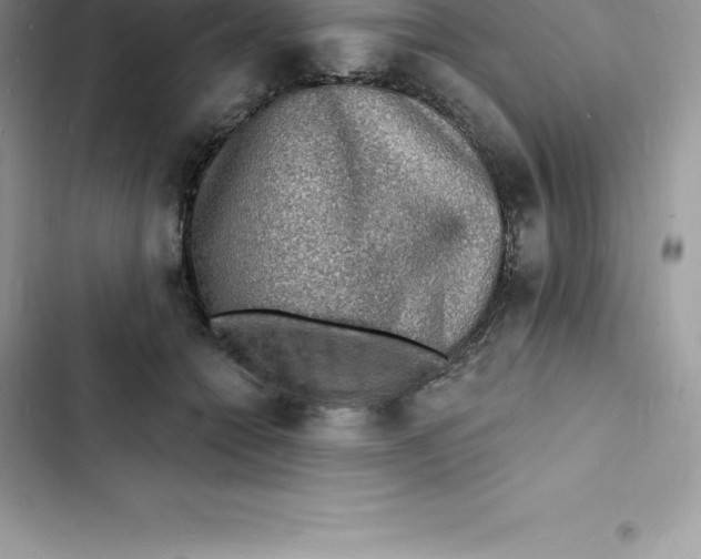 X0000103300558200809191857