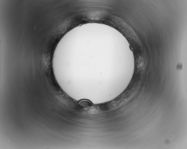 X0000103300559200809191857