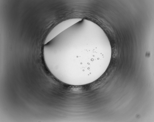 X0000103300560200809191857